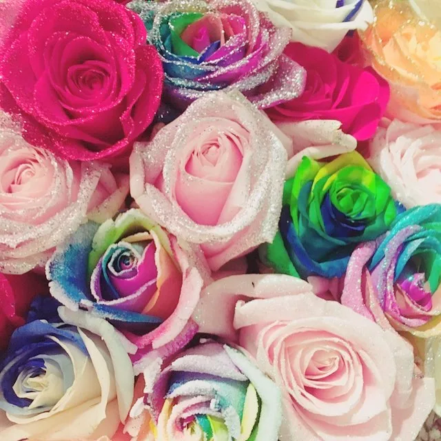 INSTAGRAMの公開投稿に掲載された画像 1／1