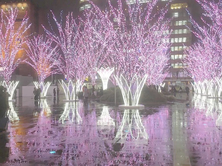 INSTAGRAMの公開投稿に掲載された画像 1／1