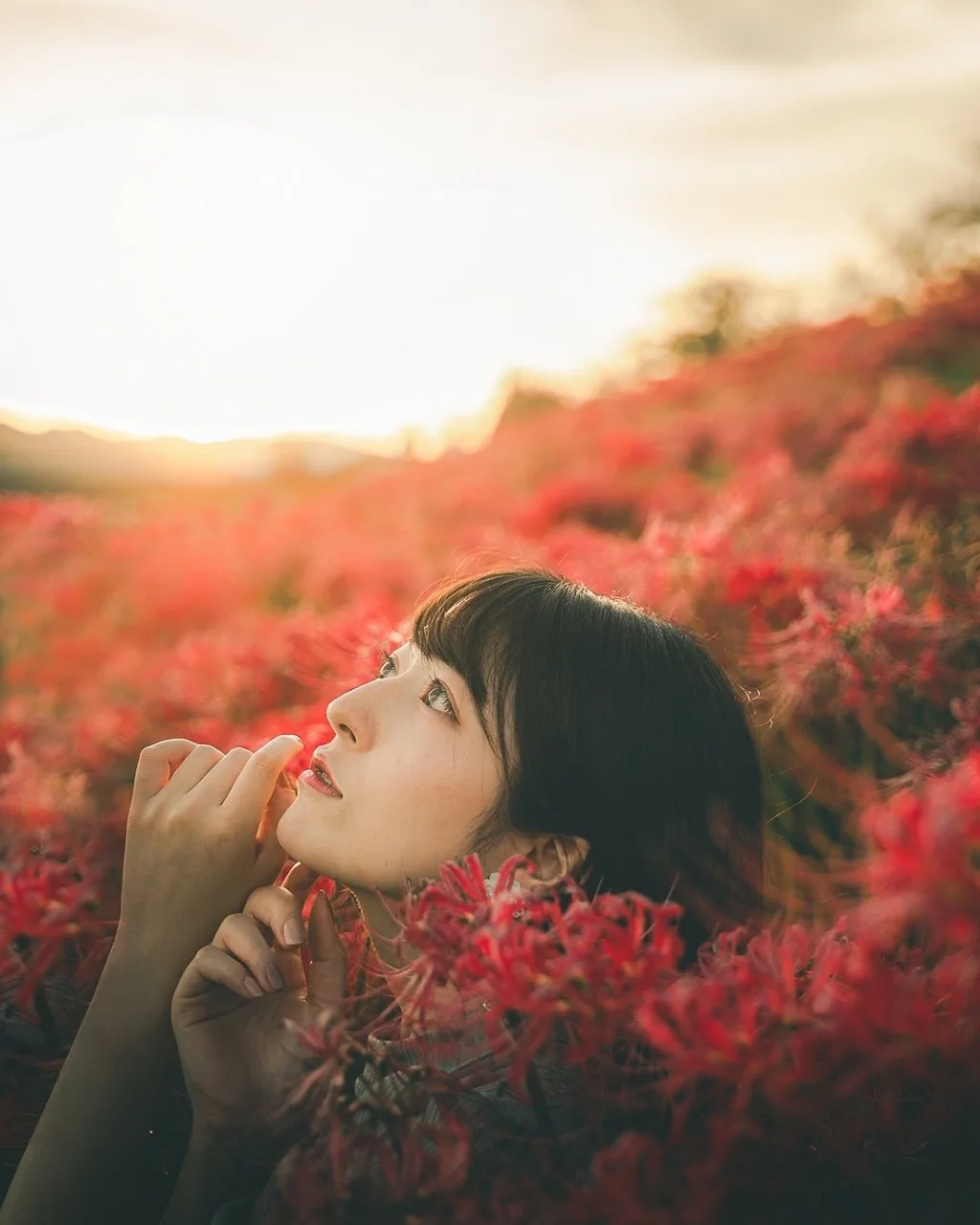 X PHOTOの公開投稿に掲載された画像 1/1