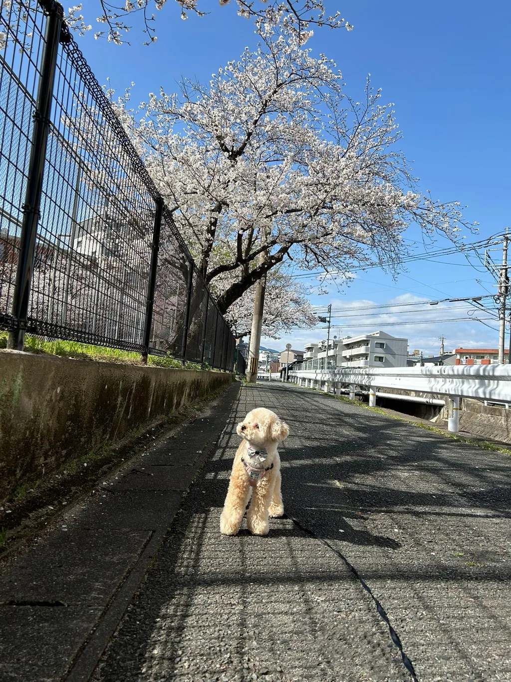 X PHOTOの公開投稿に掲載された画像 1／1