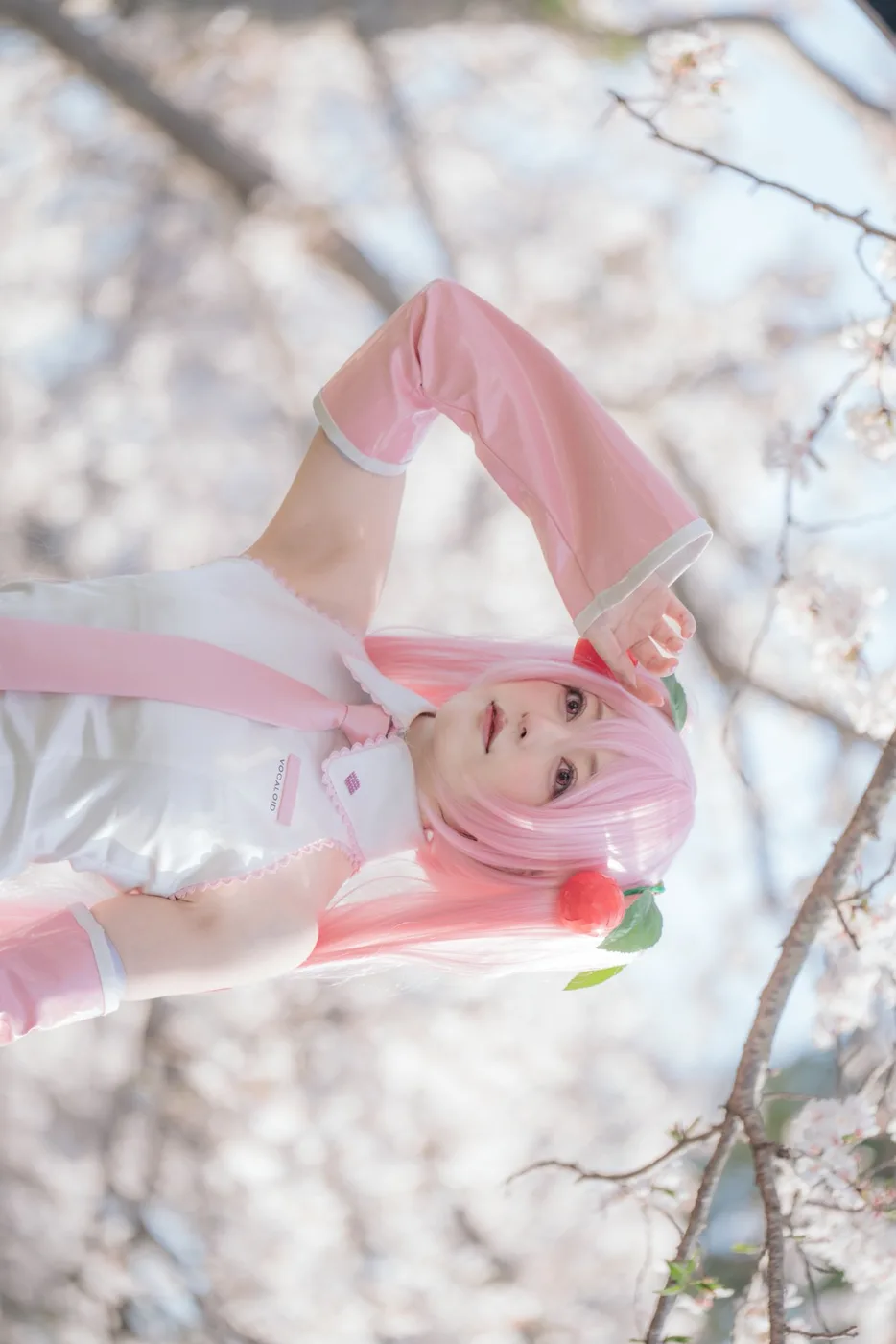 X PHOTOの公開投稿に掲載された画像 1／1
