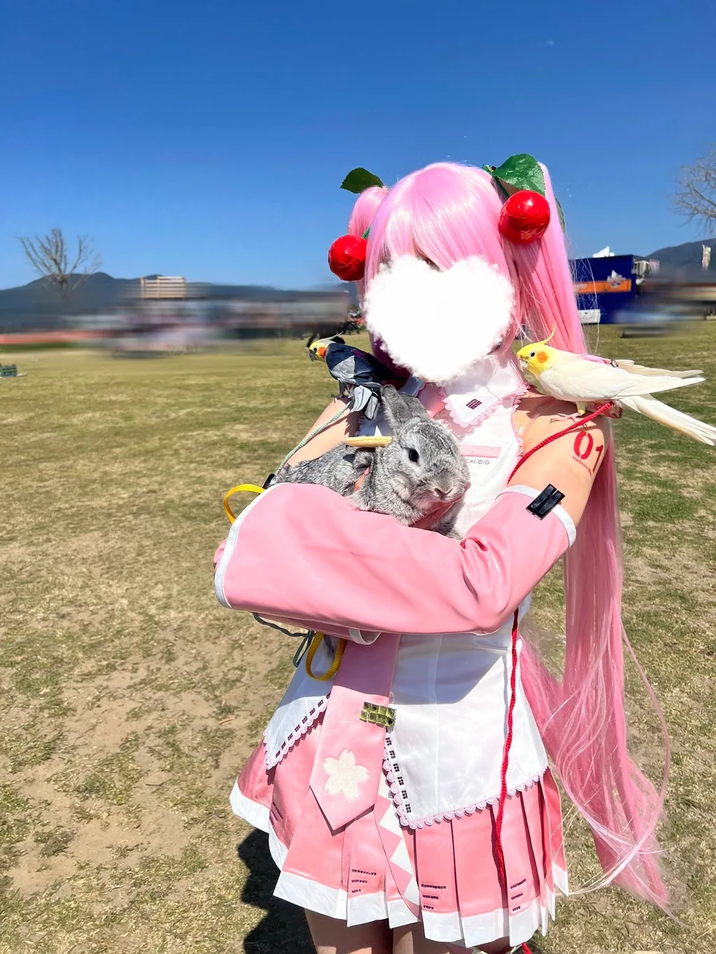 X PHOTOの公開投稿に掲載された画像 1／1