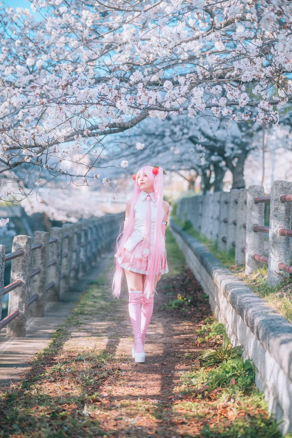 X PHOTOの公開投稿に掲載された画像 1／1