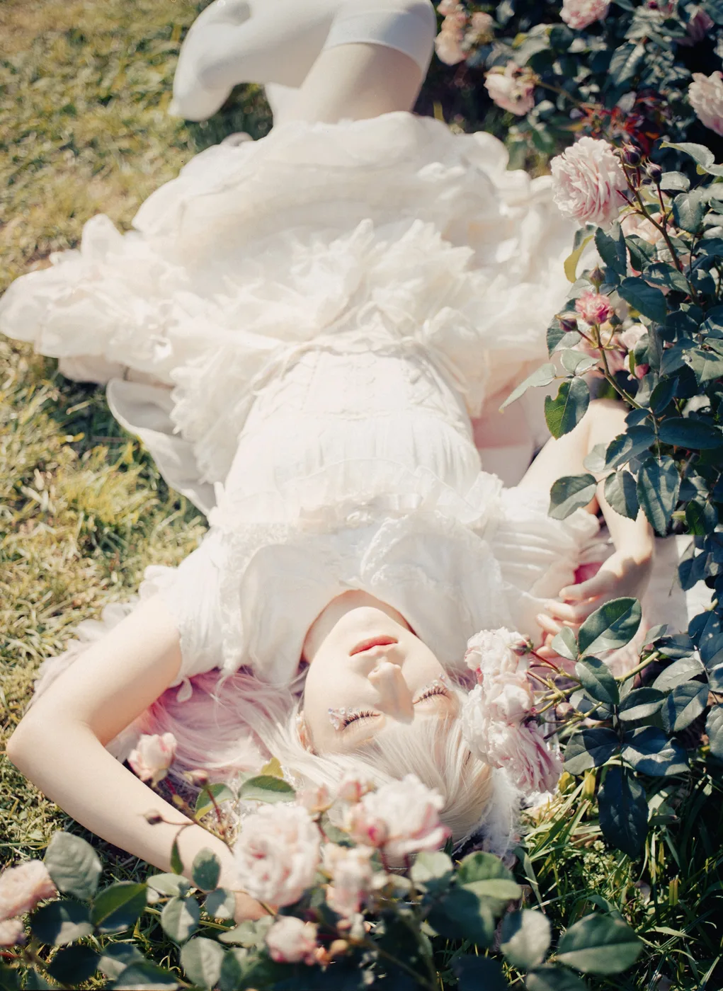 X PHOTOの公開投稿に掲載された画像 1／1