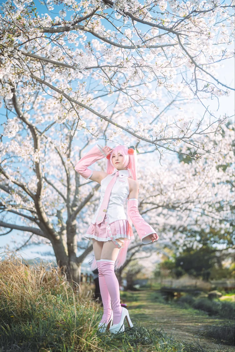 X PHOTOの公開投稿に掲載された画像 2／2