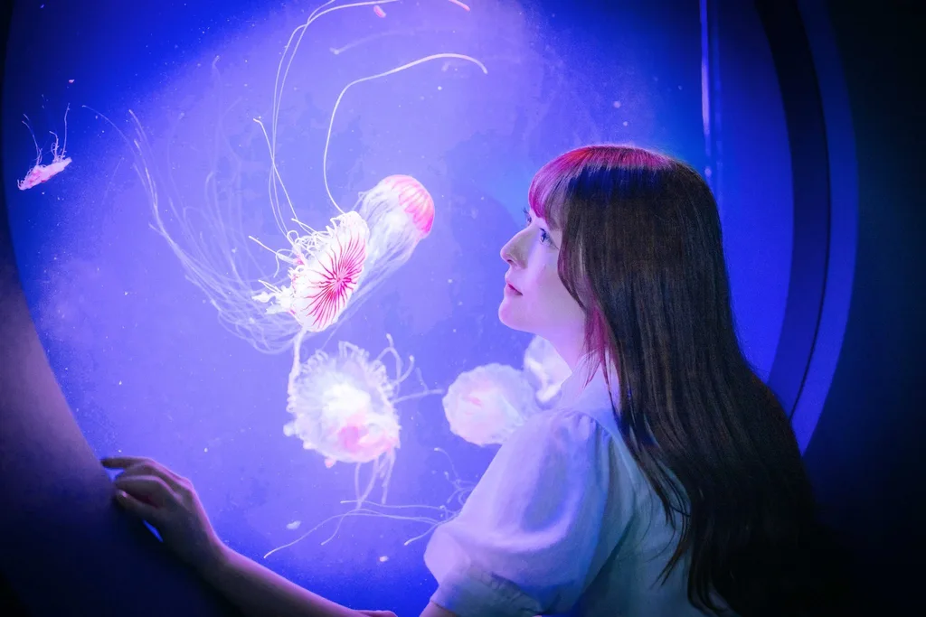 X PHOTOの公開投稿に掲載された画像 1／1
